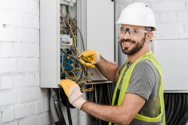 Best Electric Panel Repair  in Cheboygan, MI