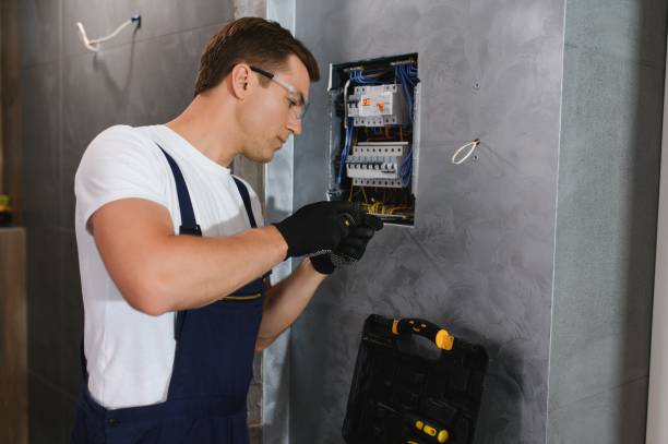 Best Electrical Troubleshooting Services  in Cheboygan, MI
