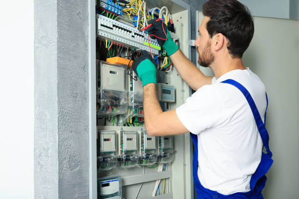 Best Electrical System Inspection  in Cheboygan, MI